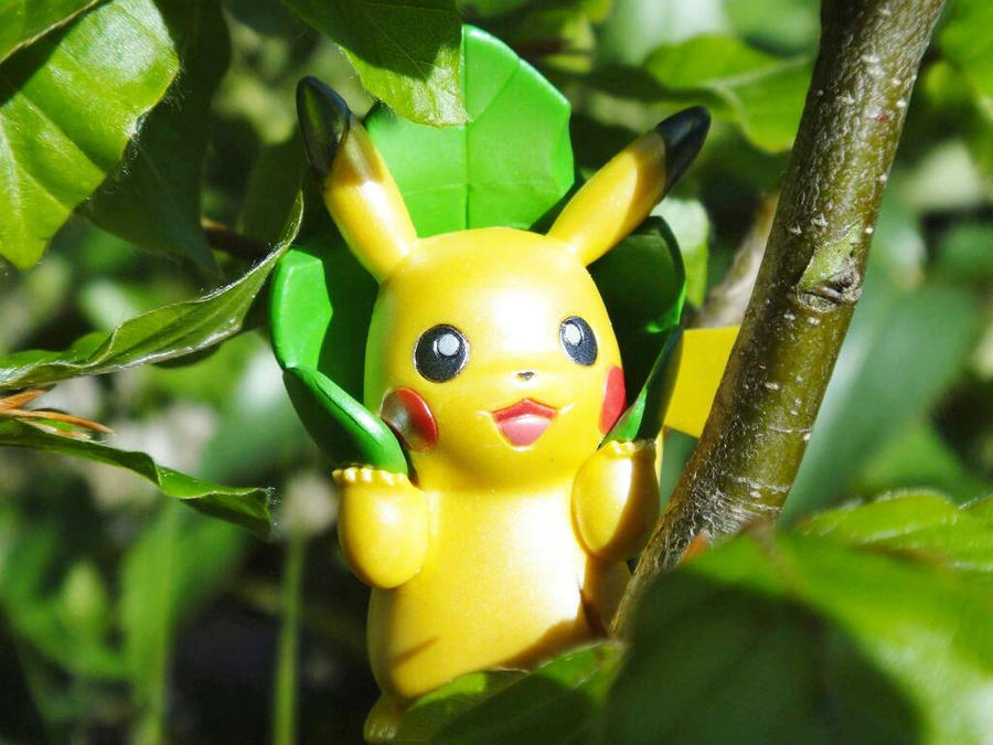 Native Pikachu Enjoying the nature with Pikachu by TheWorkShopNicolas on DeviantArt