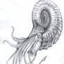 Nautiloid