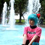 Bulma Briefs