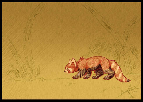 Red Panda