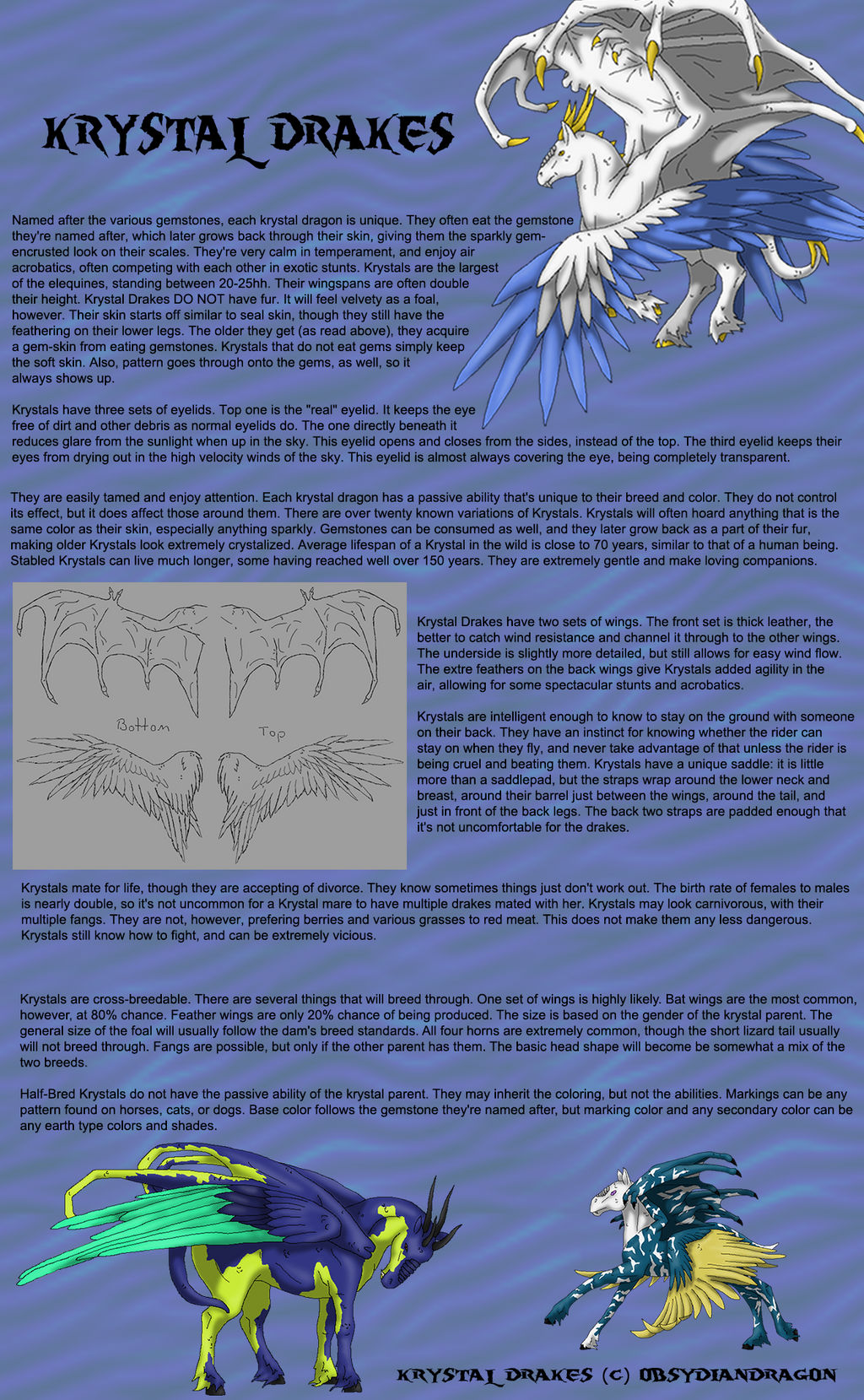 Krystal Drake Breedsheet by DragonPud