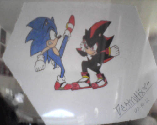 Sonic v.s Shadow