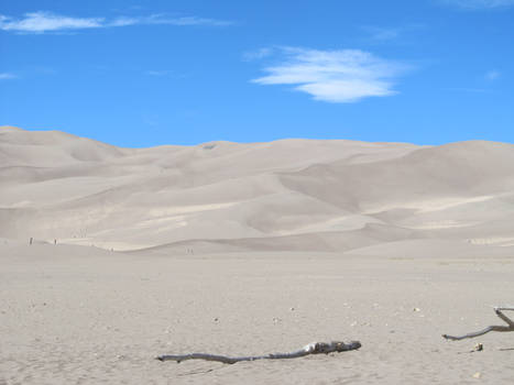 Sand Dunes