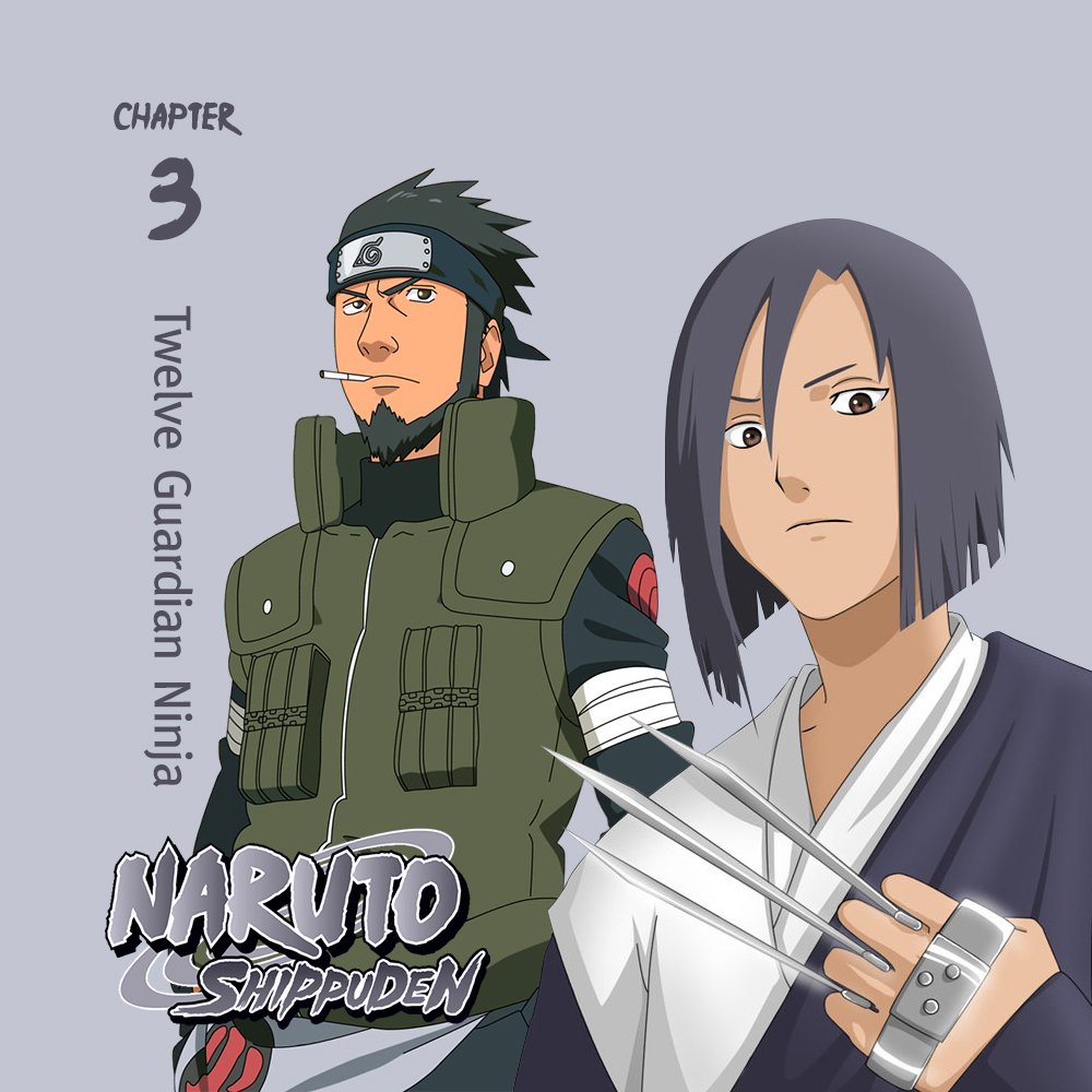 Naruto shippuden temporada 3, Wiki