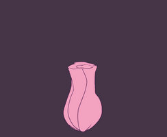 Blooming Rose