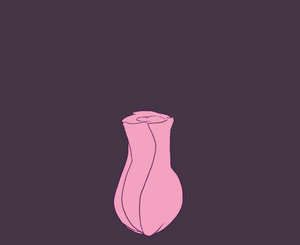 Blooming Rose