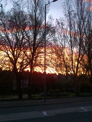 Winter morning at Newsham Park