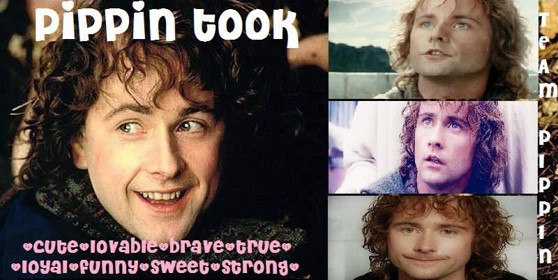 Pippin Wallpaper by TrinForTheWin on DeviantArt