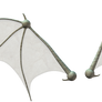 Bat wings stock