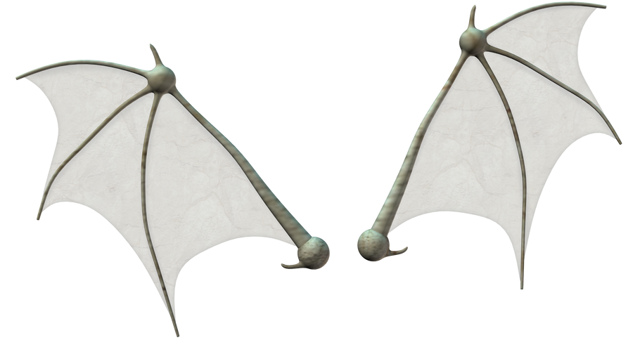 Bat wings stock by Ecathe