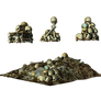 Bones pilae