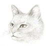 Pencil Drawing 01