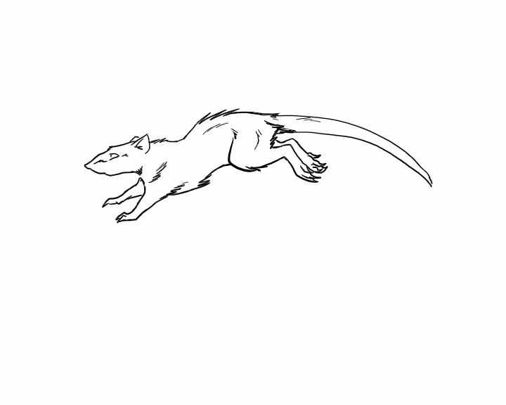 running rat - animated by Karrakas on DeviantArt running rat - animated by Karrakas on DeviantArt