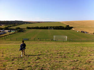 Into The Fields