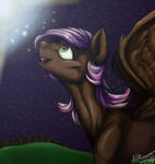 SilentWulv - Skylights by Ziricorn