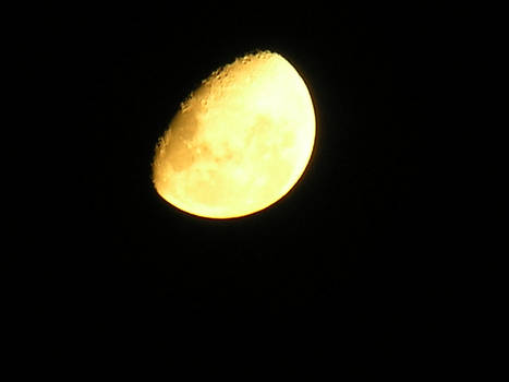 Moon