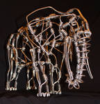 Elephant by Zander23