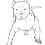 Free Pit Bull Lineart