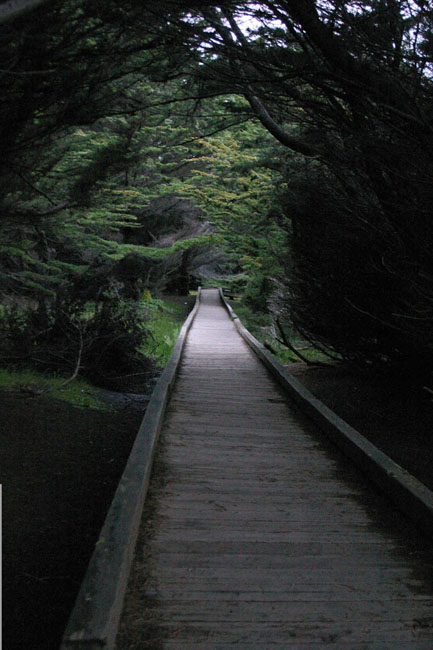 The Long Boardwalk