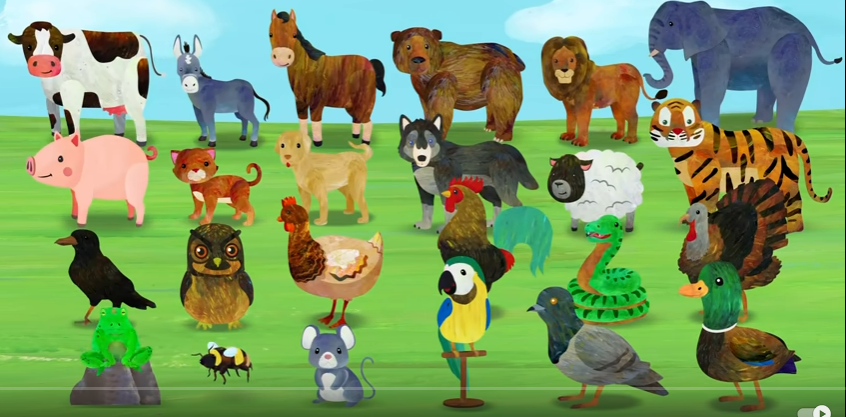 All Animals Deviantart All 24 Animals by Michalnowak123 on DeviantArt