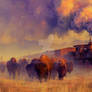Frontier Lands