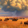 Frontier Lands