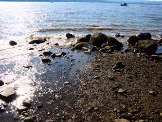 Croton Point Park