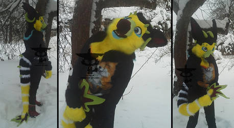 New dutch angel dragon partial for sale!