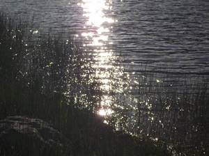 Sun on the Water