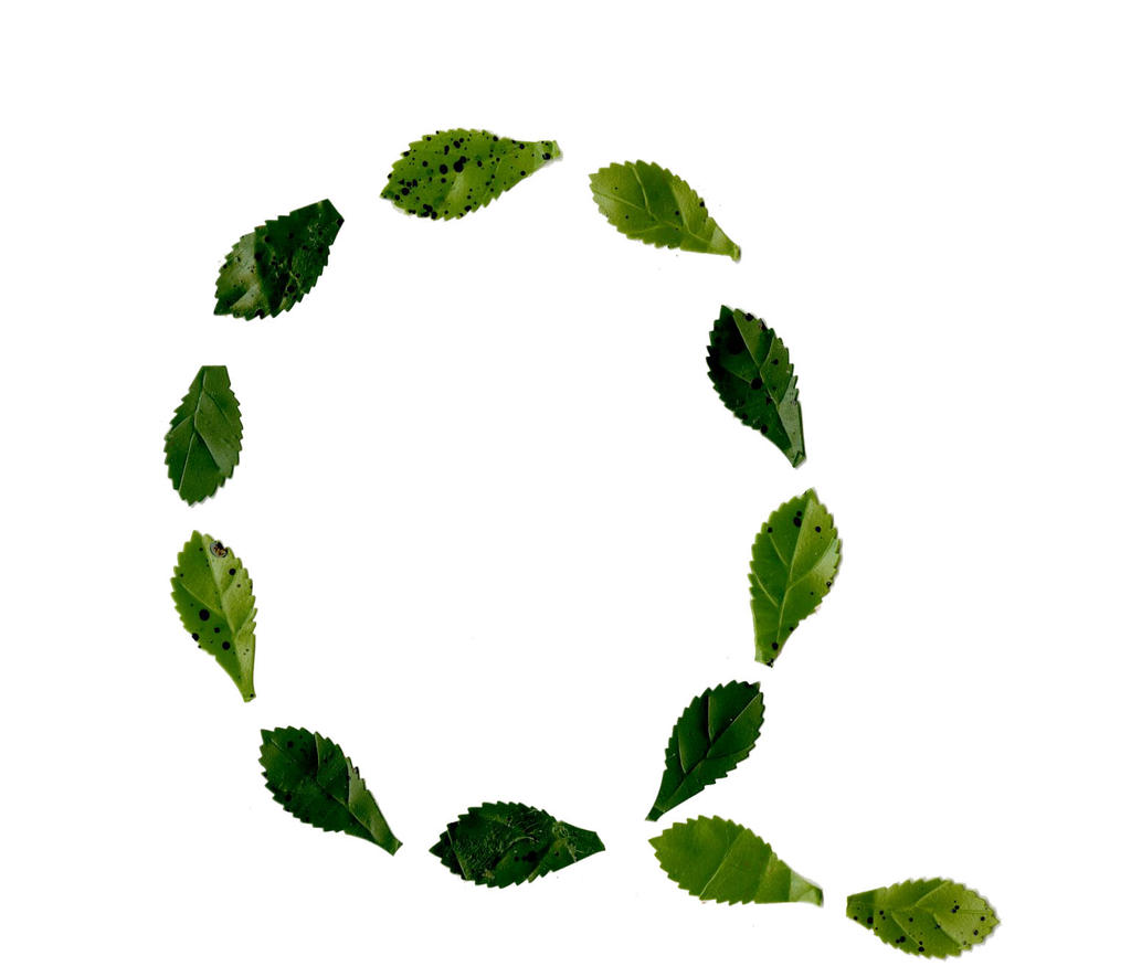 Fecking A by Nicole23 on DeviantArt