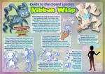 Ribbon Wisp info sheet by QviCreations