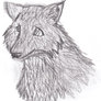 Wolf Head