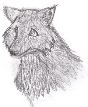 Wolf Head