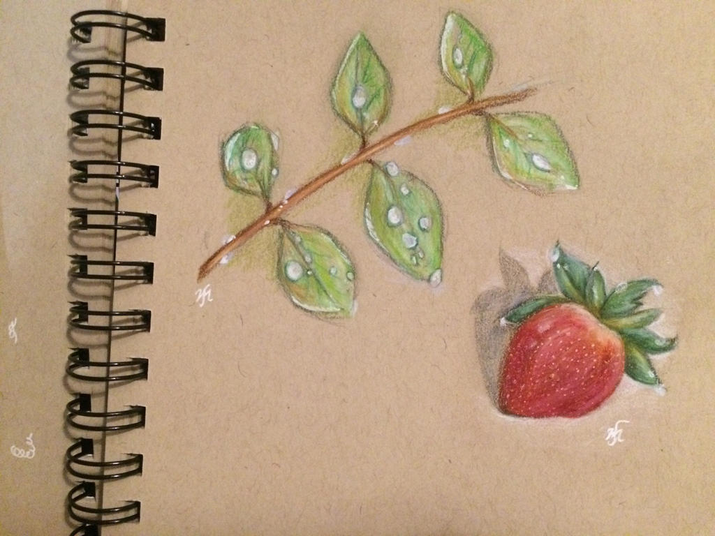 Doodle Strawberry And Leaves By Marufinarts On Deviantart