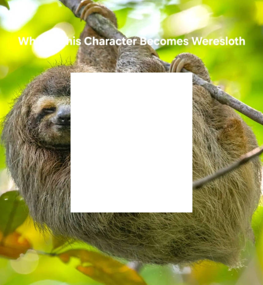 What If This Character Becomes Weresloth by Tecnavage2104 on DeviantArt