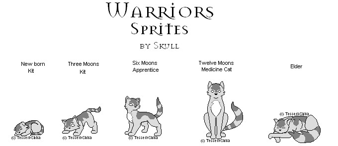 Crazy Cat Life Cycle By That Crazycat On Deviantart