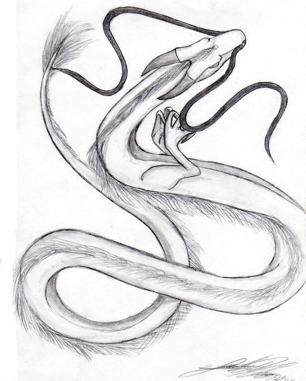 Dragon by Manoah on DeviantArt