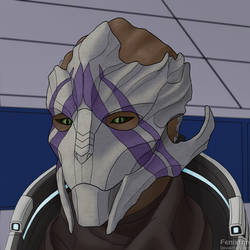 Vetra Nyx