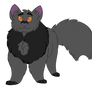 100 Warriors Challenge 18. Stormfur