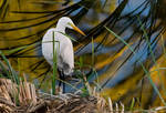 At the Creek by LarryGorlin