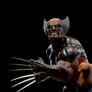 Wolverine  Action Figure