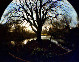 Playful Fisheye