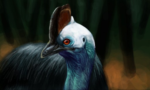 Cassowary