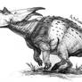 Achelousaurus