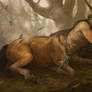 Centaur sleep