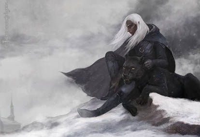 Drizzt