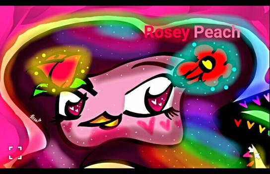 Birdsona Fusion - Rosey Peach