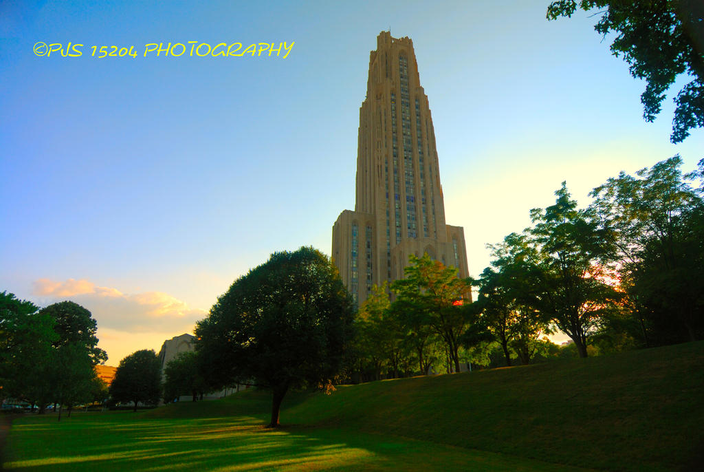 The Cathedral of learning