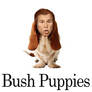 Bush Puppies