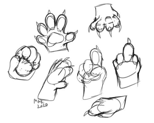 (Loose) Paw Practice